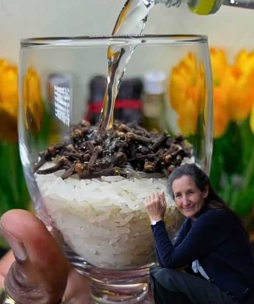 Why You Should Combine Cloves and Rice: A Perfect Match for Health and Flavor