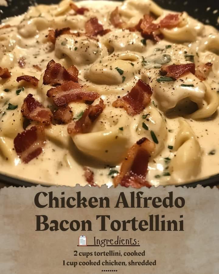 Chicken Alfredo Bacon Tortellini