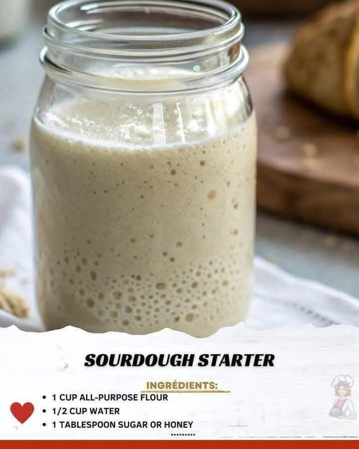 Sourdough Starter