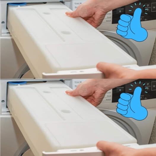 Don’t Throw It Away! 8 Tips for Recycling Dryer Water