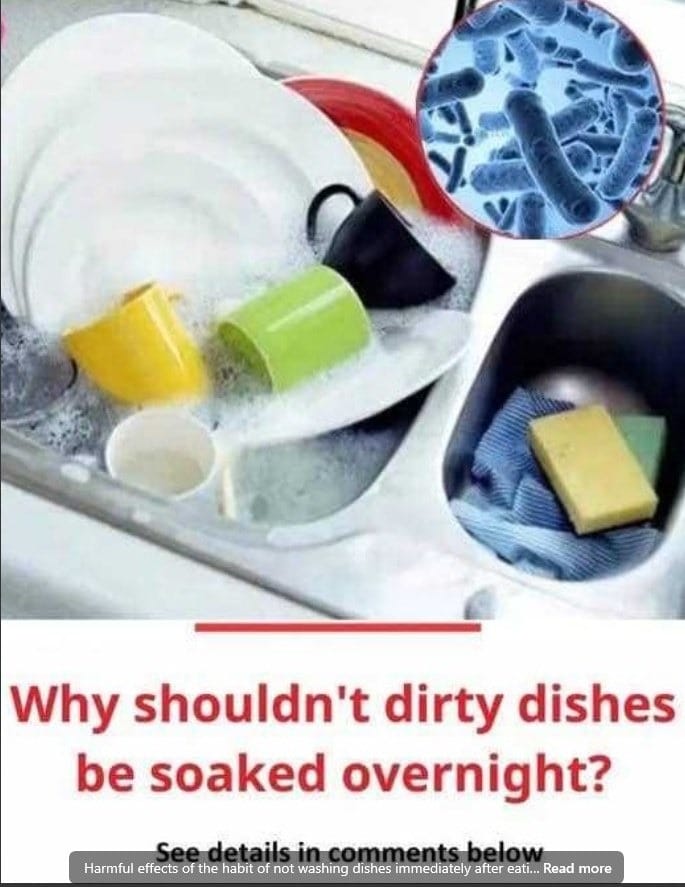 Title: The Risks of Delaying Dishwashing: Why Putting It Off Can Be Harmful