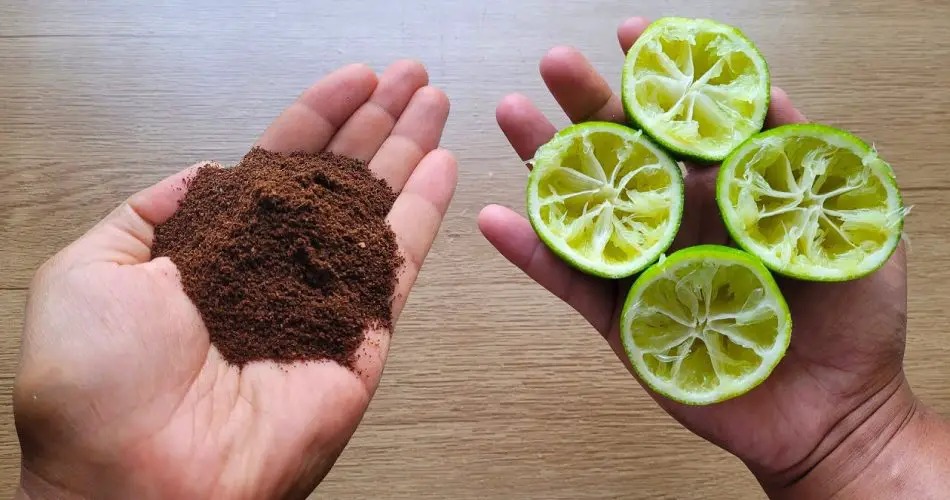 Just mix COFFEE POWDER and LEMON and you don’t need to buy it from the market anymore