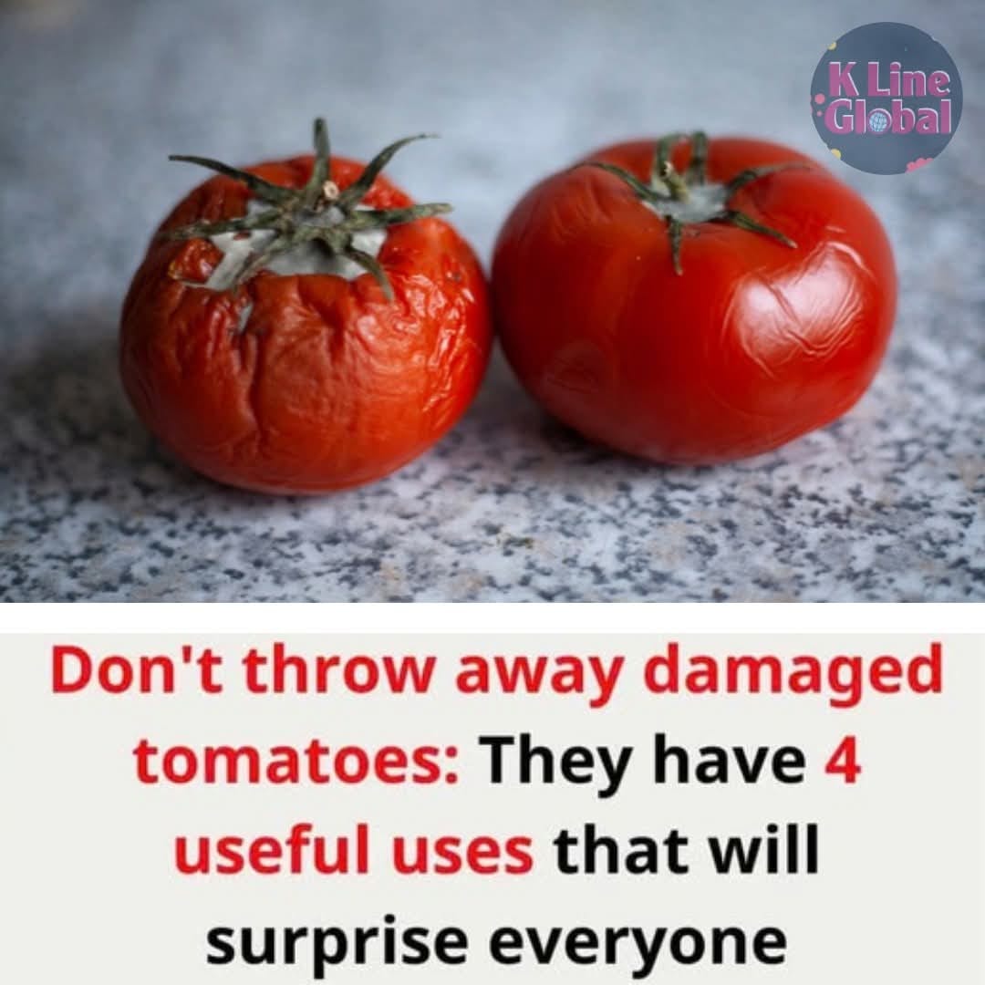 Don’t throw away spoiled tomatoes, they have more benefits than you think