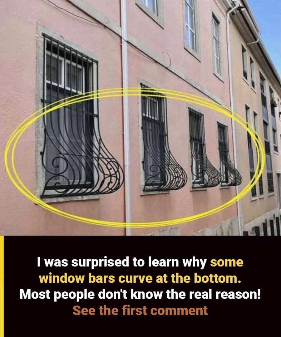 Why Do Some Window Grills Have Curves At The Bottom? The Answer Is Surprising