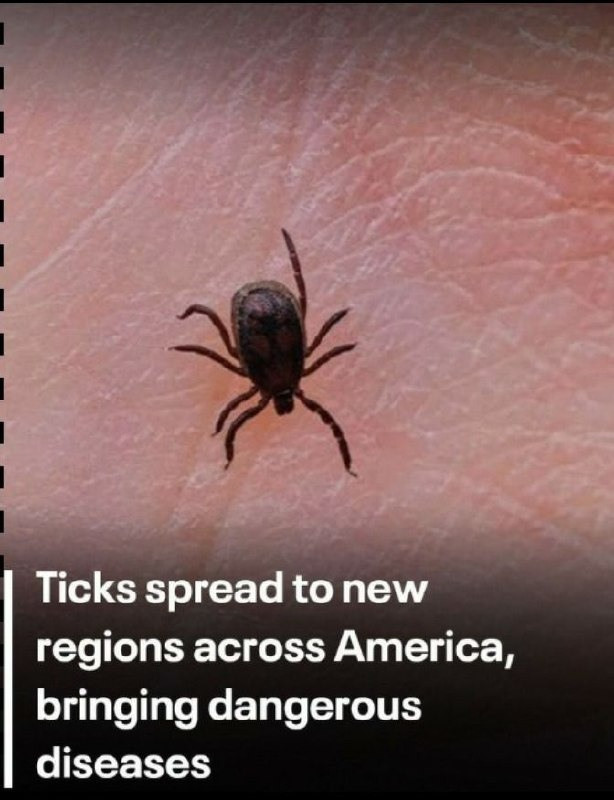 Ticks Expand to New U.S. Regions, Bringing Increased Disease Risks