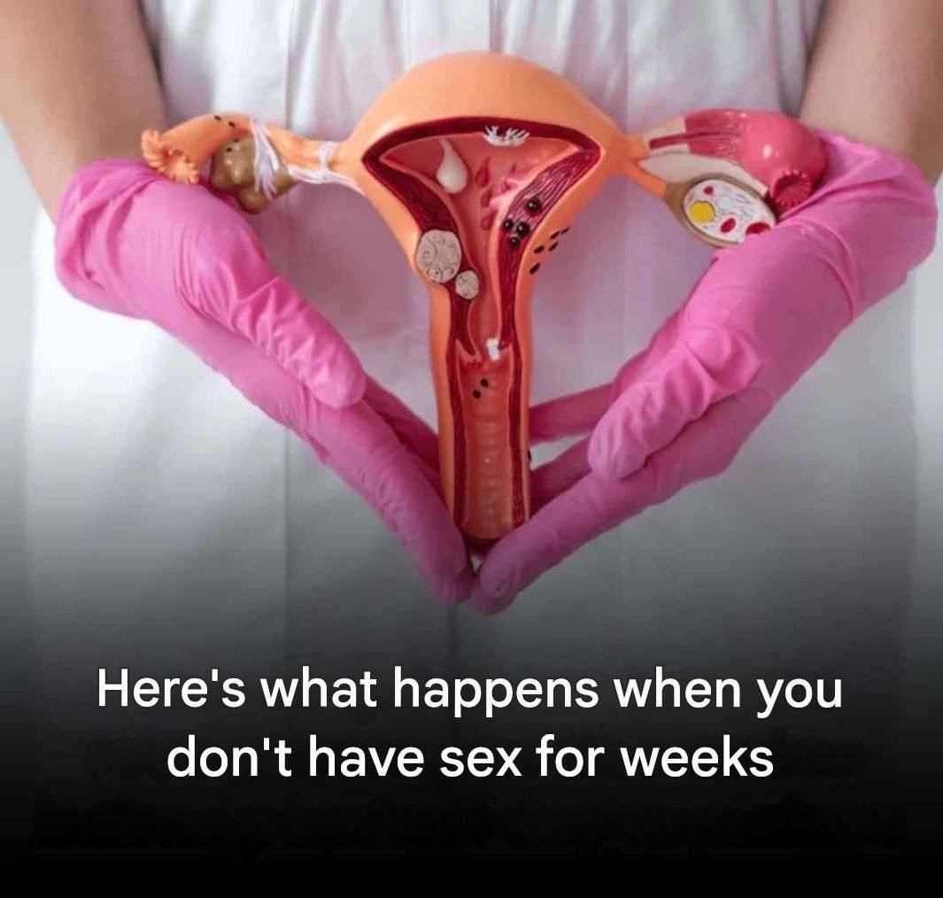 The consequences of a prolonged absence of intimate relations