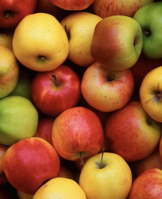 Doctors Reveals That Eating One Apple Every Night Causes …