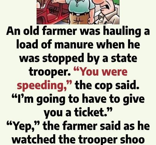 An old famer and the circle flies