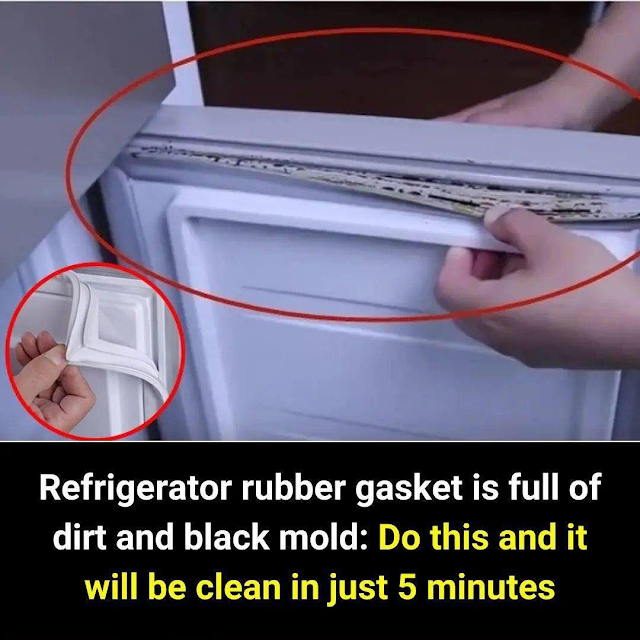 How to Clean Refrigerator Rubber Gasket Mold in Just 5 Minutes