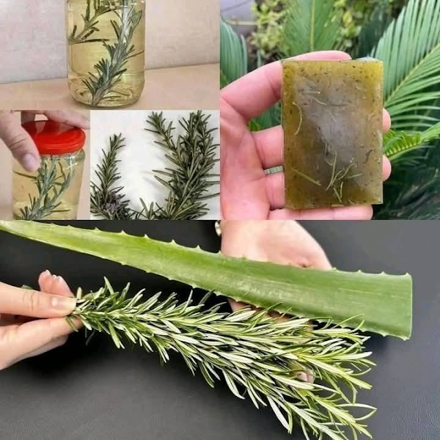 Unlock the Detoxifying Power of Aloe Vera and Rosemary