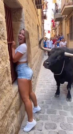 “Tourist Faces Bull — What Happens Next Will Shock You”