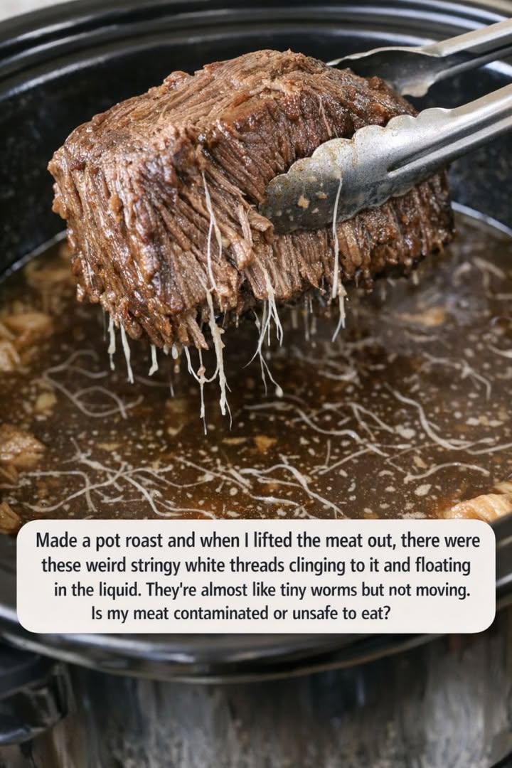 Made a pot roast and when I lifted the meat out, there were these weird stringy white threads clinging to it and floating in the liquid. They’re almost like tiny worms but not moving. Is my meat conta