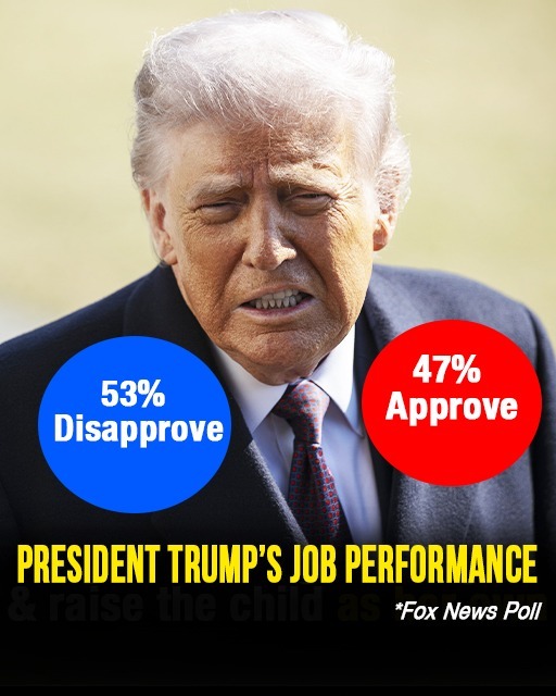 New Poll Shows Mixed Voter Sentiment Toward Donald Trump’s Performance