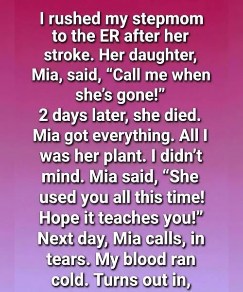 Hidden Beneath the Jade Plant — A Story of Gentle Love, Wrong Assumptions, and an Unforeseen Inheritance.