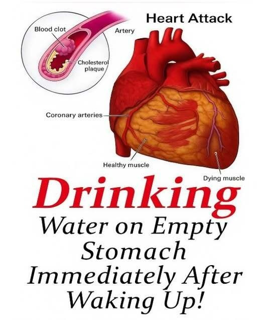 Benefits of Drinking Water on an Empty Stomach: What Science Really Says