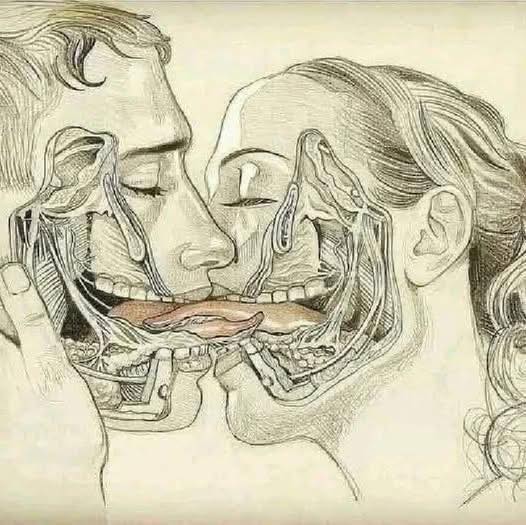 WHAT HAPPENS WHEN WE TONGUE KISS…See more