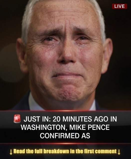 BREAKING NEWS:Pence Rips Trump For Assessing U.S….see more below