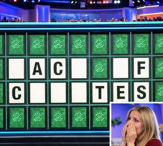 Wheel of Fortune Player Wins M After Solving This Tough Puzzle!
