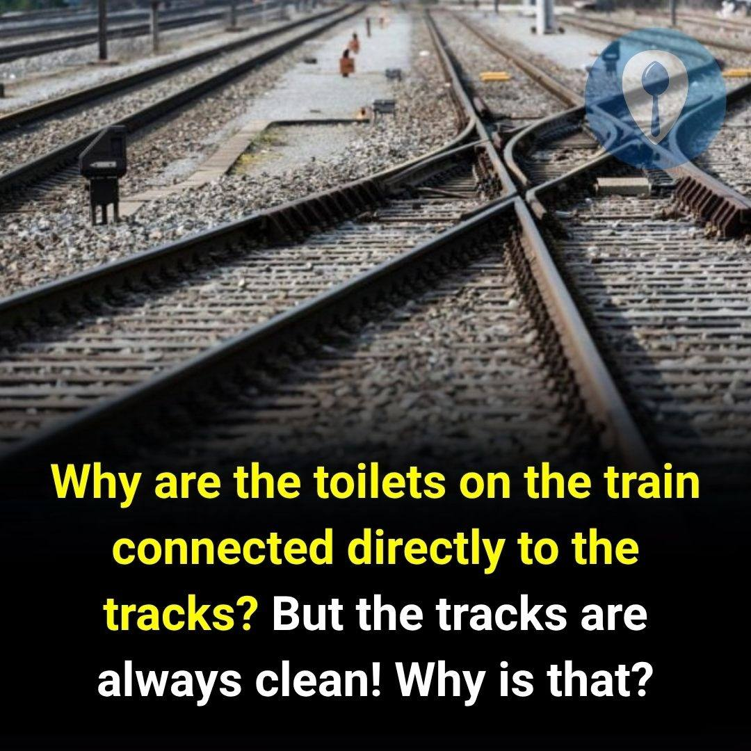 Why are the toilets on the train connected directly to the tracks?