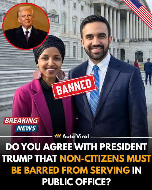 Citizenship and Public Office: The National Conversation Continues