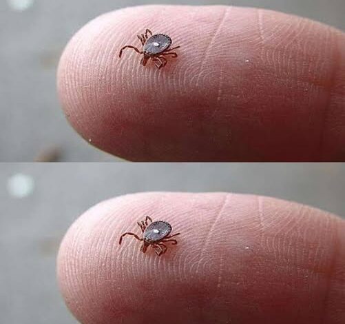 Here is What to Do If You Sp! SOTD!?