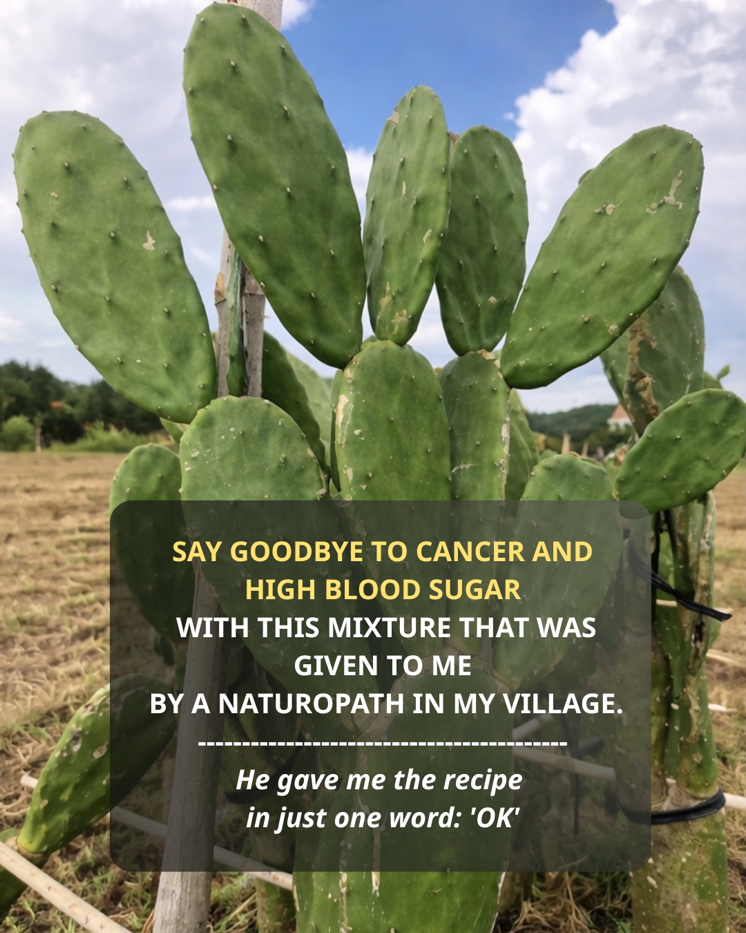 Say goodbye to cancer and high blood sugar with this mixture prescribed by a naturopath from my village. I’ll give you the recipe for just “OK”.