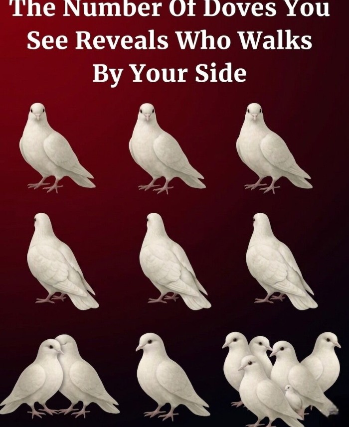 How many doves do you see? Check 1st c0mment to see who walks be your side 👇