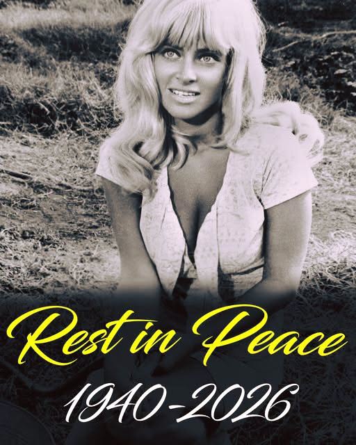 Actress Known for Iconic ‘Cool Hand Luke’ Scene Has Died at 87 – Likya