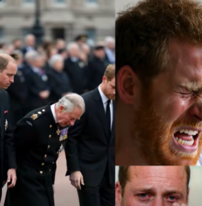 SHOCKING NEWS — JUST 1 MINUTE AGO! Prince William breaks down sobbing as he clutches Prince Harry, moments after doctors confirm devastating news. Buckingham Palace is plunged into silence, all media BLACKED OUT. Then, behind hospital walls, King Charles III collapses to the ground, his anguished cry tearing the night: “My son… oh Lord…”